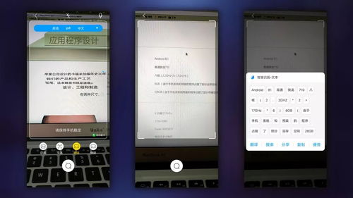 随手拍照识物app免费下载安装 