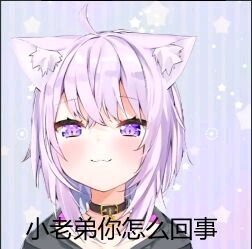 猫又小粥