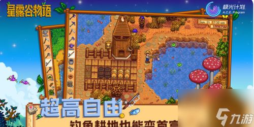 星露谷物语 