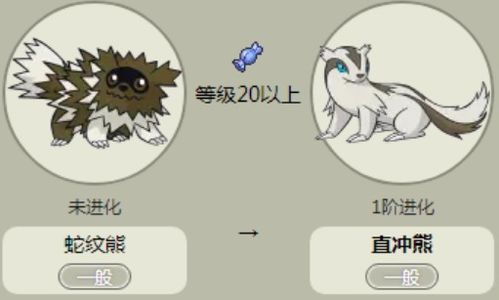 直冲熊