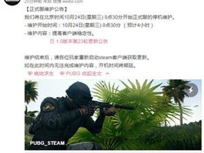 绝地求生未来之役手游下载 