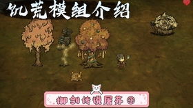 盖瑞模组监控人模组 