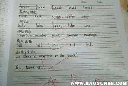 批改口算作业软件手机版 
