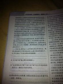 童年游戏阅读答案,回忆里的欢乐时光