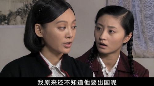 蜗牛视频免费观看电视剧 
