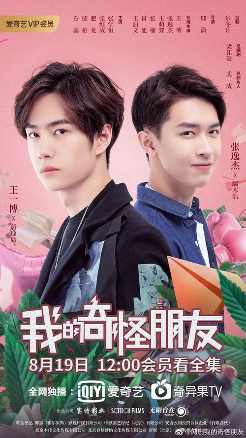 我的奇妙小镇 