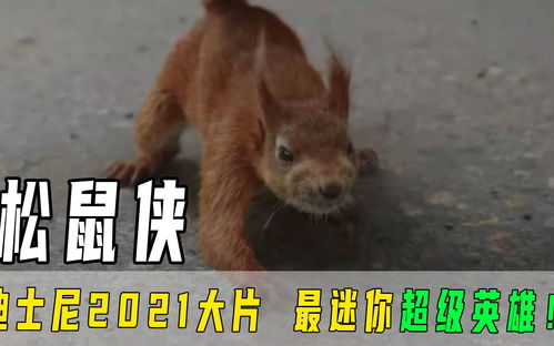 迪士尼镜之守卫者最新版 