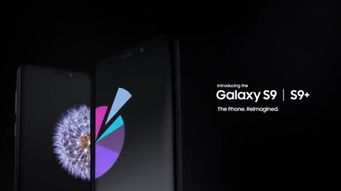 香肠派对SS9赛季官网正版下载apk 