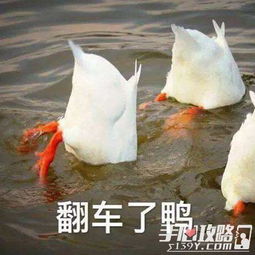 像素鸭冲冲冲 