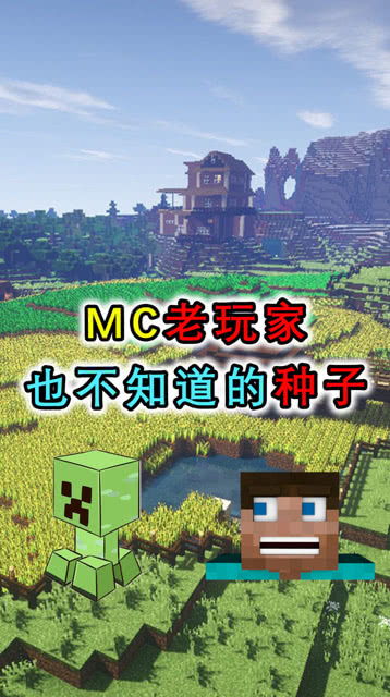 种子猫 