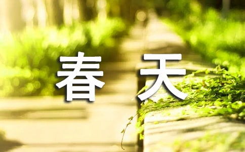 猫的春天 