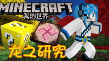 我的世界龙珠生存 