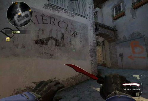 csgo助手辅助app免费下载 