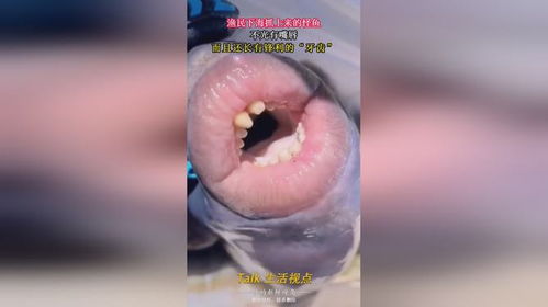 锋利的大剑 
