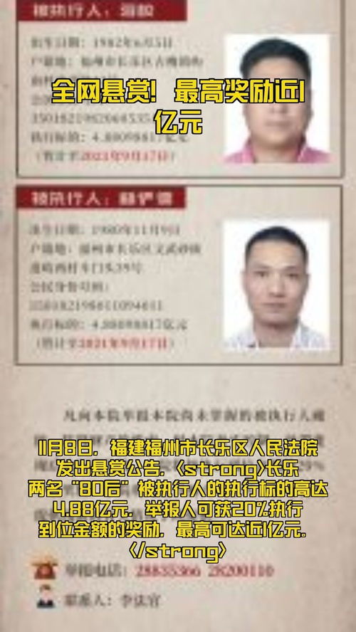 悬赏鱼任务平台 
