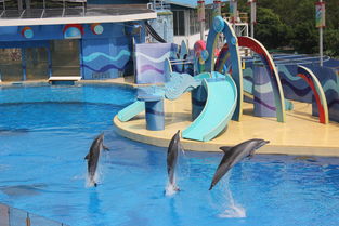 迷你比基尼海滩  迷你比基尼海滩