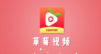 旋风视频在线观看 