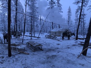 节奏盒子极寒之地模组 