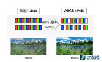 九色影视  九色影视