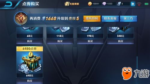 王者荣耀极光辅助 