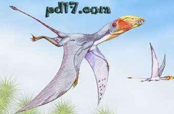 什么什么里奥冒险  什么什么里奥冒险