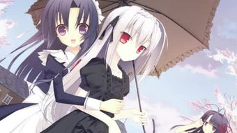 TCG卡牌商店模拟器(TCGCardTycoon) 