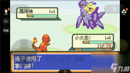 口袋妖怪永恒之焱 