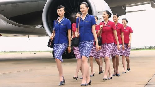安珀的空姐梦希望高飞 
