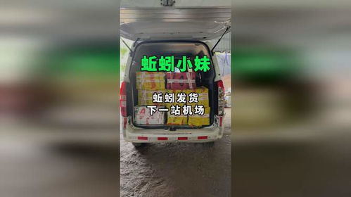 饥饿蚯蚓大闯关 