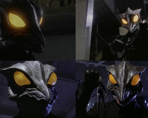 加勒比海的战士 